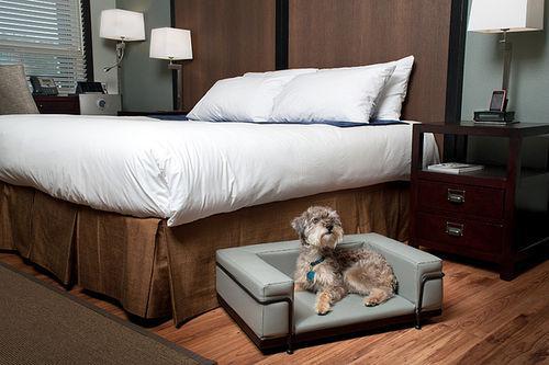 Hotel Hampton & South Meade Area